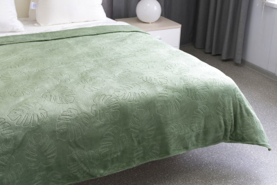 Плед микрофибра-фланель 200х180 "Veroni" 100% п/э жаккард Зеленый (1/5)