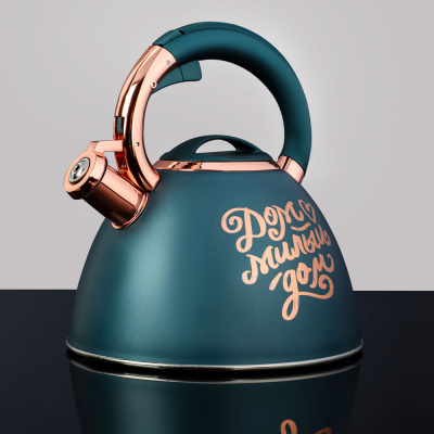 Чайник стальной 2,7л "Арно", индукция VETTA (1/12)