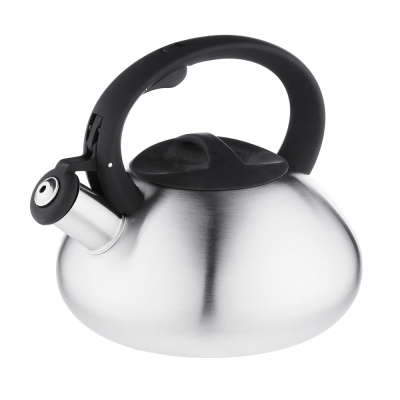 Чайник 2,3л стальной зеркальный индукция VETTA (1/12)