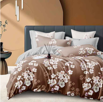 КПБ Поплин Премиум Евро(100%хлопок,простыня 220х240, пододеяльник 200х220, навол. 70х70 (2шт.))(1/5)