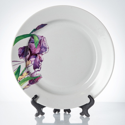 Тарелка мелкая диам. 240 мм Гладкий край Ирисы (фарфор) , р.4 (20)