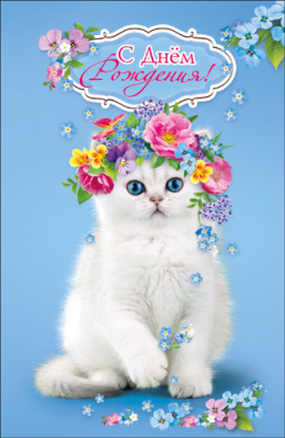 Открытка (5видов) (10)