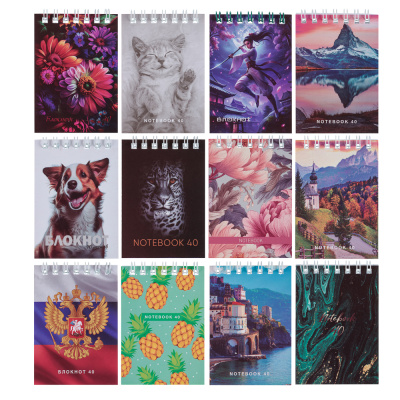 Блокнот А7 40 листов, офсет, обложка картон, спираль, в клетку (1/16/48)