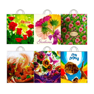 Пакет Пакет ПНД петл.38*40 40мкм в ассортименте (25/25)