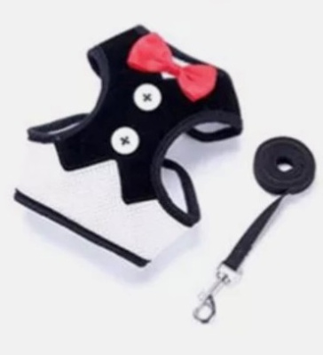 Шлейка с поводком для мелких пород собак и кошек "LAPUSIK",цв.чёрный,размер L (1/12)