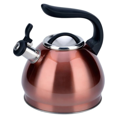 Чайник 3,0л (мет) (12)