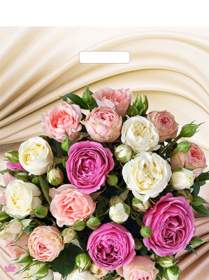 Пакет Желанный букет-пакет вырубной 450х380х60мм (50/500)