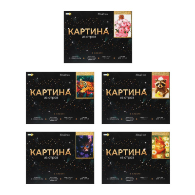 Картина из страз, комплект: твердая основа, стразы, стилус, 30х40см, 6 диз ХОББИХИТ(1/10/30)