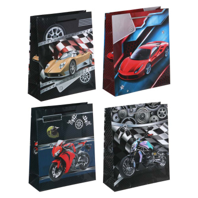 Пакет подарочный, бумажный, 26x32x10 см, 4диз, авто/мото LADECOR (12/12)