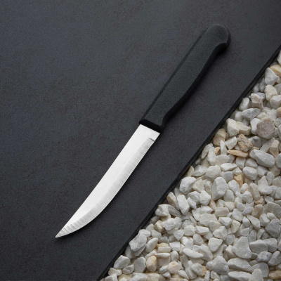 Нож кухонный 12,7см "Мастер" пласт.руч. (1/12/144)