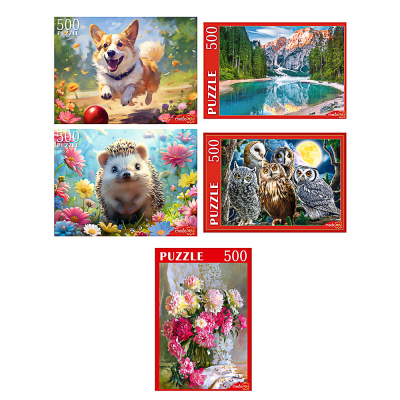 Пазлы 500 элементов в ассорт., 46,3х33,5х24,2см, 5диз (10/10)