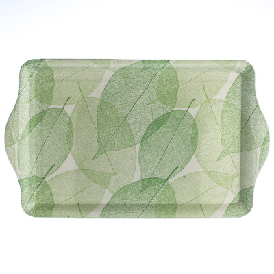 Разнос пластик 42х26см F-30 №1 (1/100)