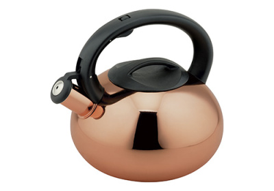 Чайник мет.2,5л.со свистком, ручка пластм. фиксированна, крышка пластм  Premium (12)