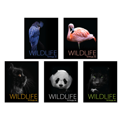 Тетрадь 48л. в клетку, офсет, обл. мел.картон, скрепка, "Звери на черном", выб.лак, 5дизCSt(1/100)