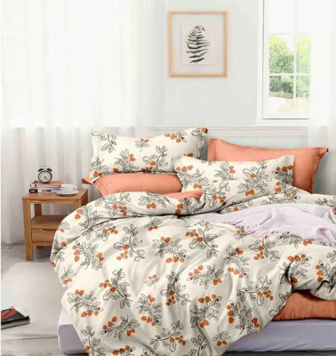 КПБ Поплин Премиум 2,0сп с европрост.(100% хлопок.прост.220х240,подод.175х215,навол.70х70(2шт.))(1/5