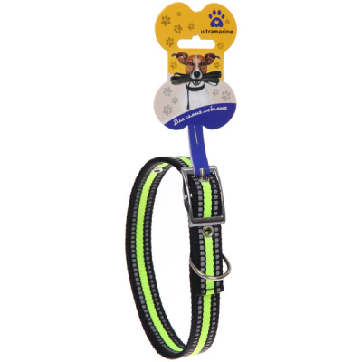 Ошейник д/собак "Дружок-Салатовая природа" 2*48см Ultramarin (1/12)e