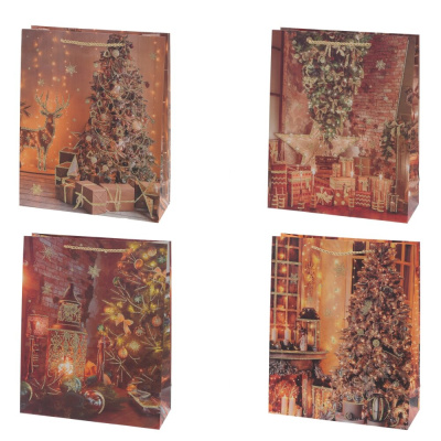 Пакет подарочный (бумага 210г/м2, блок микс 12шт), L26 W10 H32 см, 4в.(1/12)