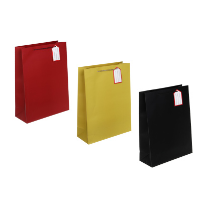 Пакет подарочный, с шильдиком, 40x30x12см, бумага, арт.13, 3диз тм Fntastic (6/192)