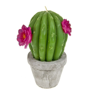 Свеча декоративная "Кактус" 10,5*8,5*16см. (парафин) (упаковочный пакет + тран упаковка)(1/18) 