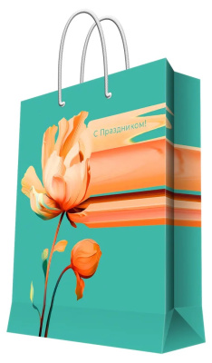 Бумажный пакет 26*33*13см д/сувенирной продукции с тиснением и конгревом (12/144)