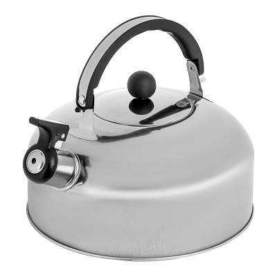 Чайник стальной 2,5л индукция (1/24)