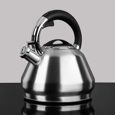 Чайник стальной 2,7л "Ками", индукция VETTA (1/12)