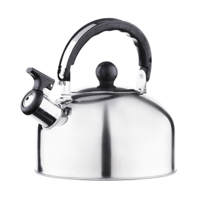 Чайник 1,5л стальной, индукция (1/24)