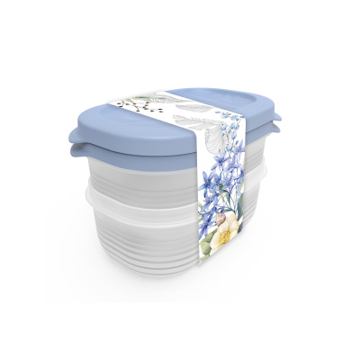 Набор контейнеров Цветущий сад 2шт 0,65л (1/12)