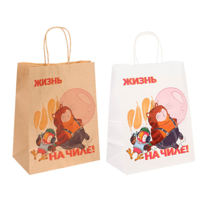 Пакет подарочный с кручеными руч 24х14х30см,"Попугай Кеша. На чиле", в ассорт (10/200)