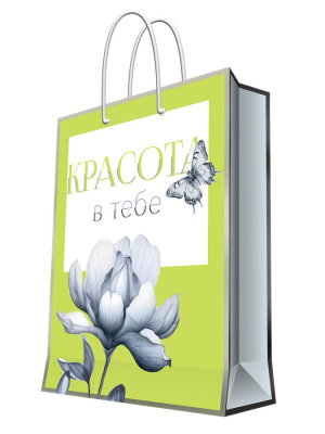 Бумажный пакет 17,8x22,9x9,8см д/сувенирной продукции с ламинацией (12/240)