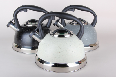 Чайник 3,0л микс п/уп (нжс) (1/12)