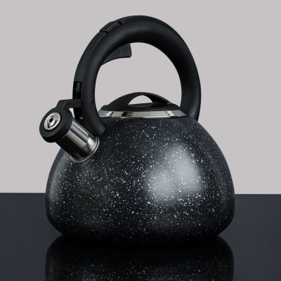 Чайник стальной 2,5л "Гаро", индукция VETTA (1/12)