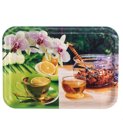 Разнос пластик 32х23см 20193201 №13 (1/100)