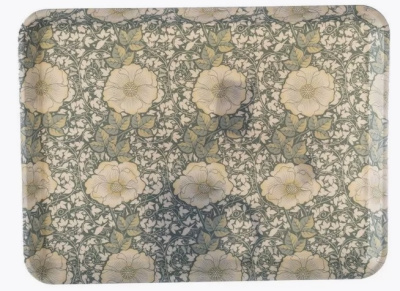 Разнос пластик 40х30см 402015 №5 (1/60)