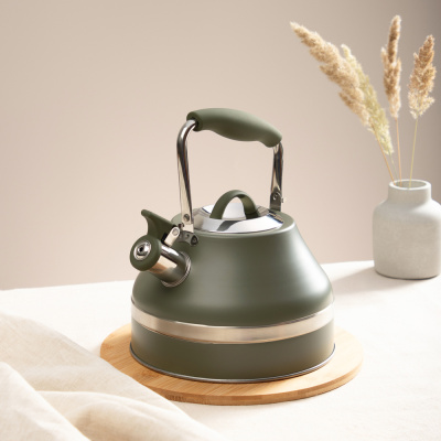 Чайник 2,7л нерж.сталь, индукция SATOSHI Астурия (1/12)