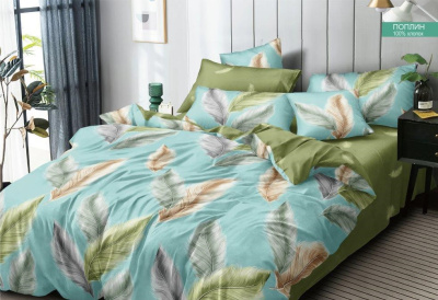 КПБ Поплин 2,0 сп с Евро 220*240 (1/6)