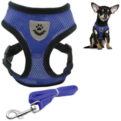 Шлейка с поводком "Sweet puppy" размер ХL, цвет голубой (1/10)