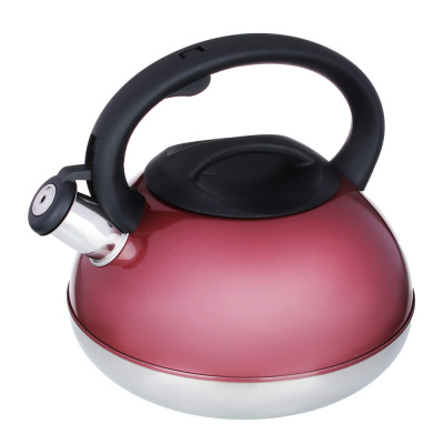 Чайник стальной 3,0л "Роншан", индукция VETTA (1/12)