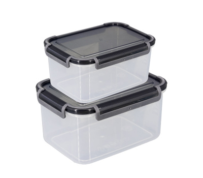 Набор контейнеров герметичных на защелках 2шт (0,8л+1,6л) (1/11) 