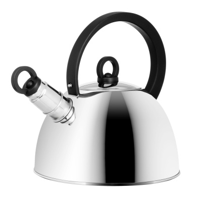 Чайник стальной 2.5л "Кампо" индукция (1/12)