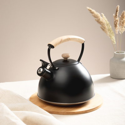 Чайник 2,5л нерж.сталь, индукция SATOSHI Нера (1/12)