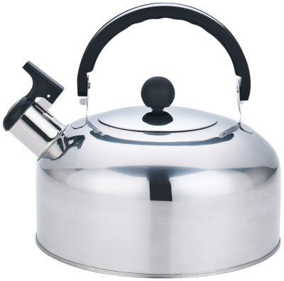 Чайник 2,0л ТМ Bingo со св (нжс) (12)