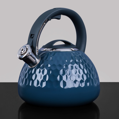 Чайник стальной 2,6л "Пикар", индукция VETTA (1/12)