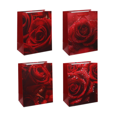 Пакет подарочный 18x23x10см, бумага, 4диз, арт.7тм Fntastic (12/480)