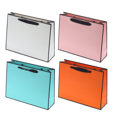 Пакет подарочный (бумага, плотность 230г/м2, блок 12шт), L27 W8 H21см (4в) (12/12)