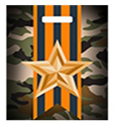 Пакет Отвага 400х310х60 вырубной (50/50/500)