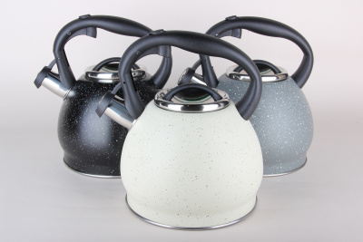 Чайник 3,0л микс п/уп (нжс) (1/12)