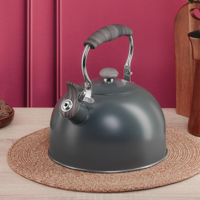 Чайник стальной 2,2л "Ливорно", индукция VETTA (1/12)