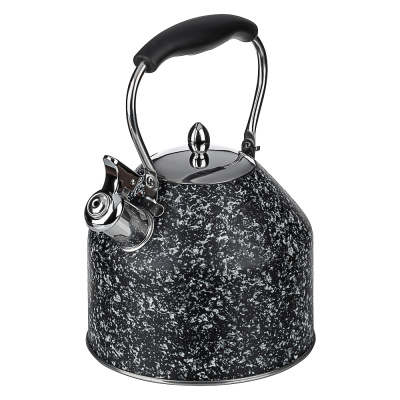 Чайник стальной 2,7л "Терра", индукция VETTA (1/12)