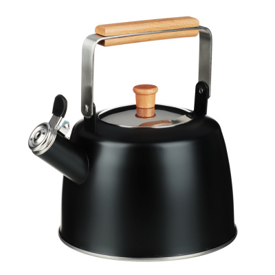 Чайник 2,5л нерж.сталь, индукция (ID-K621) SATOSHI Нера (1/12)